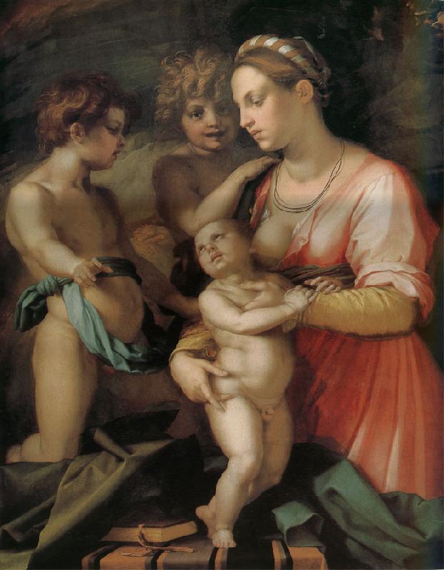 Andrea del Sarto Kind Germany oil painting art